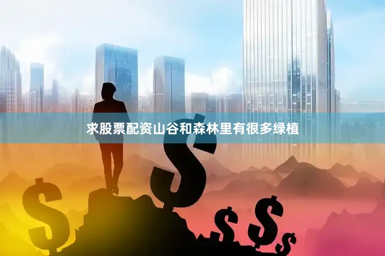 求股票配资山谷和森林里有很多绿植