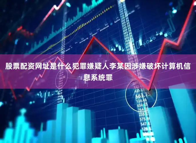 股票配资网址是什么犯罪嫌疑人李某因涉嫌破坏计算机信息系统罪